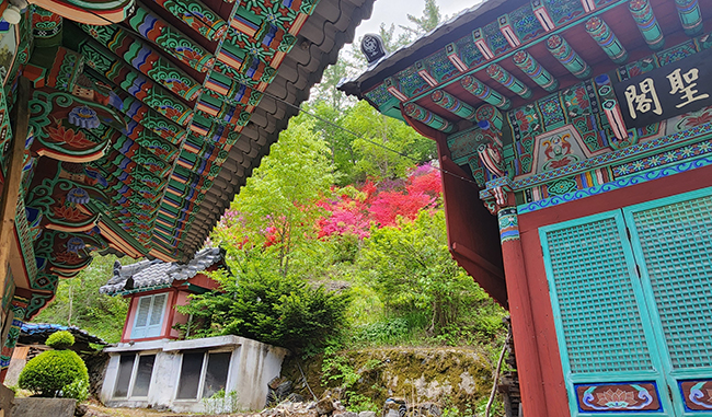 한국불교 태고종 태산사 산사음악회 5월16일 개최