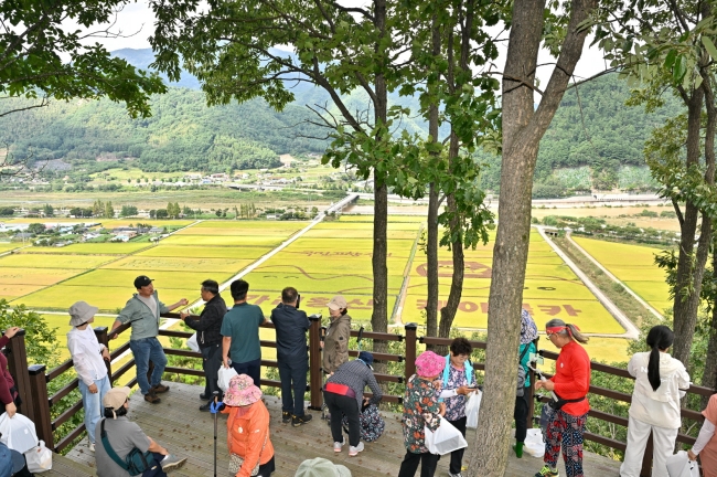 정선군, ‘숲길 따라 힐링’ 산림욕장 보완사업 추진