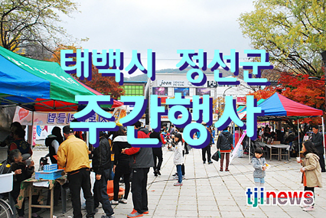 태백시 정선군 주간행사계획