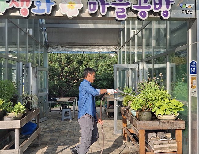 고한읍, 야생화 보급으로 주민과 함께 만드는 ‘정원마을’ 조성 본격화