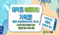 강원태백몰, 「2026 여름맞이 기획전」 운영