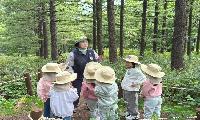 태백국유림관리소, 유아숲교육 프로그램 현장 활동 지원
